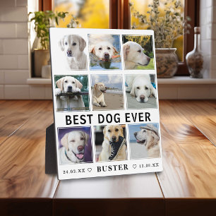 Modern Loss of Pet   Best Dog Ever Photo Collage Plaque