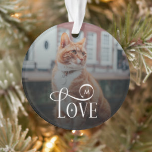 Modern Love Custom Cat Pets Photo Monogram Ornament
