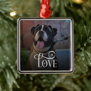 Modern Love Custom Dog Pets Photo Monogram Metal Tree Decoration