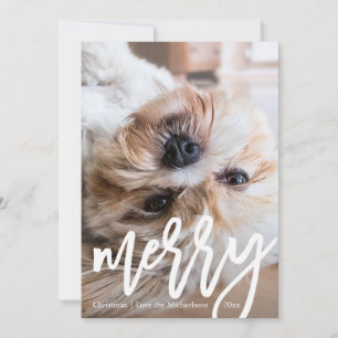 Modern Merry with Chic Leopard Print Photo Holiday Card