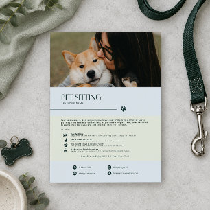 Modern Minimalist Blue Grey Dog Sitting Flyer