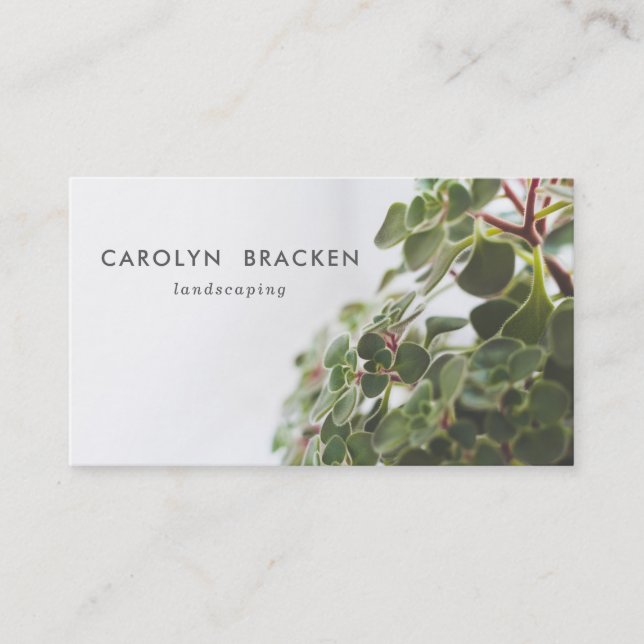 Modern Minimalist Creative Plant | Landscaping Business Card (Front)