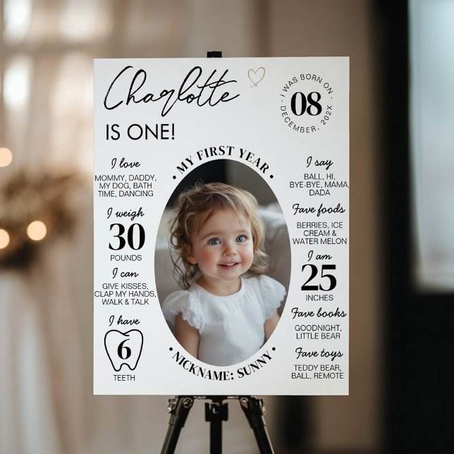 Modern Minimalist First Year Photo Milestone Poster (Creator Uploaded)