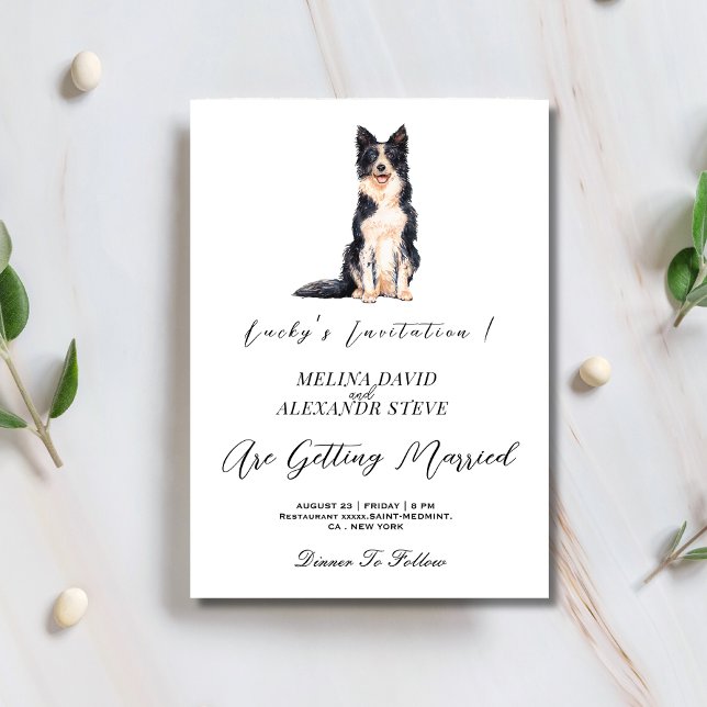 Modern minimalist pet dog photo wedding  invitation (Creator Uploaded)