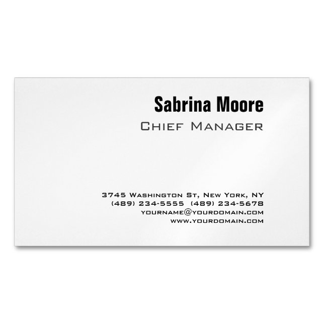 Modern Minimalist Plain Professional Magnetic Business Card (Front)