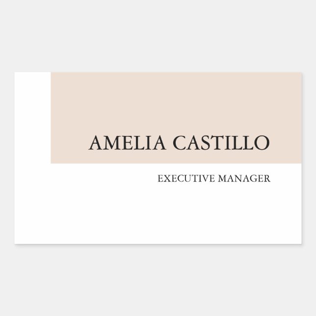 Modern Minimalist Plain Simple  Rectangular Sticker (Front)