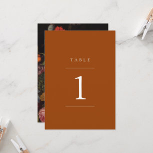 modern minimalist terra cotta table number