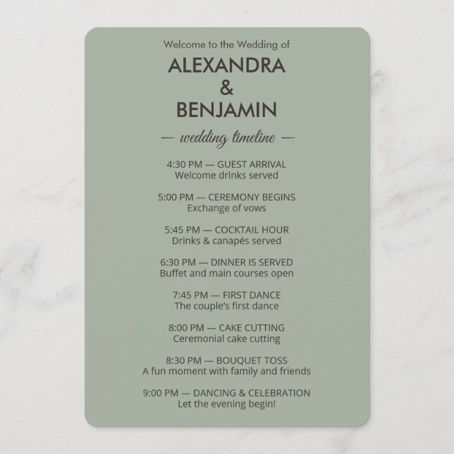 Modern Minimalist Wedding | Sage Green Timeless  Programme (Front)