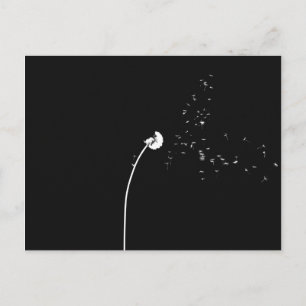 Modern Minimalistic Black & White Dandelion Flower Postcard