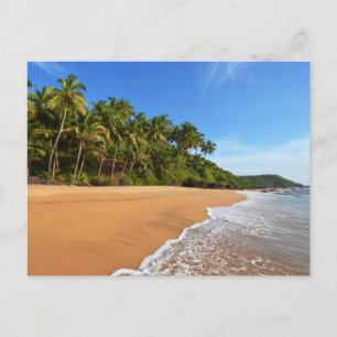 Modern Nature Beach Landscape Postcard