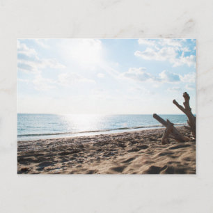 Modern Nature Beach Landscape Postcard