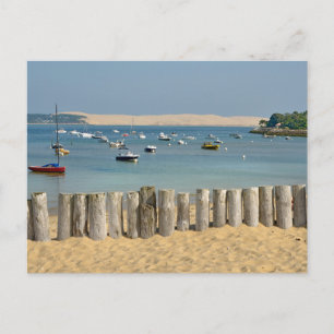 Modern Nature Beach Landscape Postcard