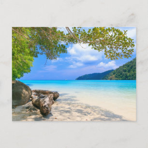 Modern Nature Beach Landscape Postcard