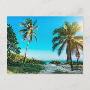 Modern Nature Beach Landscape Postcard