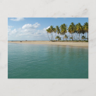 Modern Nature Beach Landscape Postcard