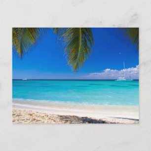 Modern Nature Beach Landscape Postcard