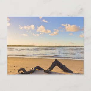 Modern Nature Beach Landscape Postcard