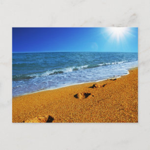 Modern Nature Beach Landscape Postcard
