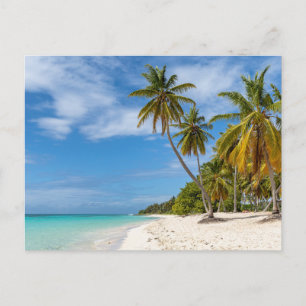 Modern Nature Beach Landscape Postcard