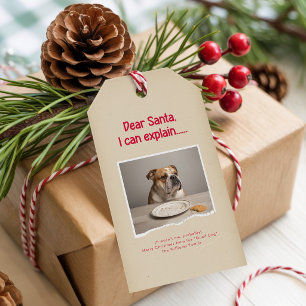 Modern Naughty Funny Dog Pet Photo Christmas Gift Tags