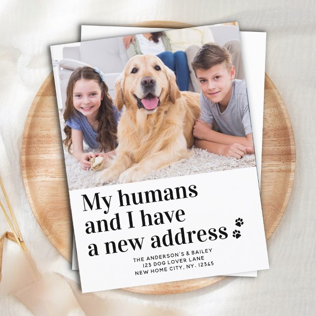 Modern New Address I Moved Pet Photo Dog Moving Postcard (Creator Uploaded)
