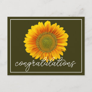 Modern Orange & Yellow Sunflower Congratulations Postcard