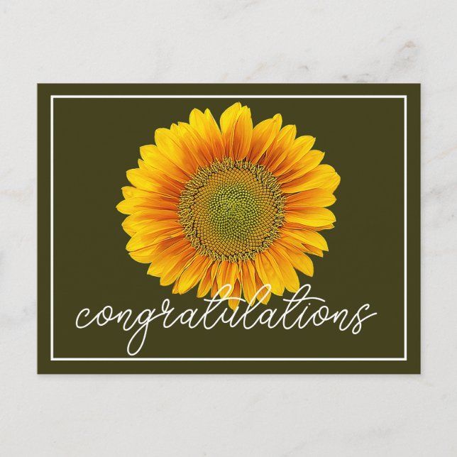 Modern Orange & Yellow Sunflower Congratulations Postcard (Front)