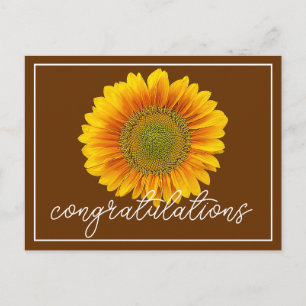 Modern Orange & Yellow Sunflower Congratulations Postcard