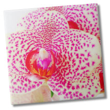 Modern Orchid Pink Flower