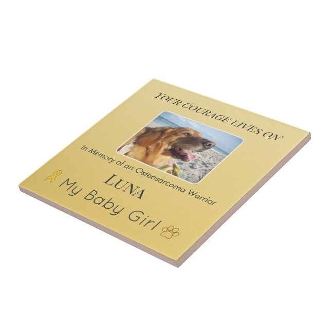 Modern Osteosarcoma Pet Tribute Tile (Side)