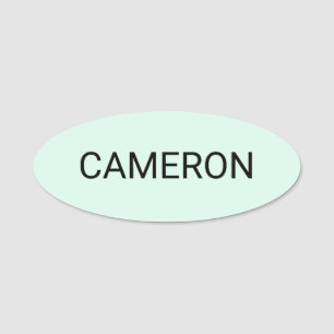 Modern Oval Name Tag Pin or Magnetic Mint Green