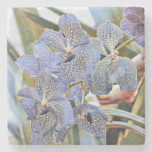 Modern Painting Purple Blue Orchid Flowers Stone Coaster