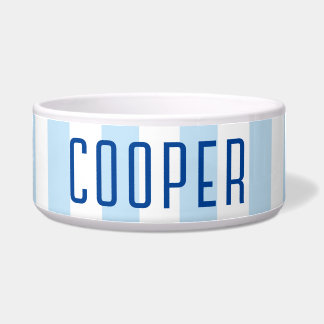 Modern Pale Blue and White Stripe Name