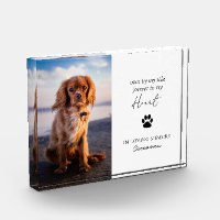 Modern Paw Print Sympathy Bereavement Pet Memorial