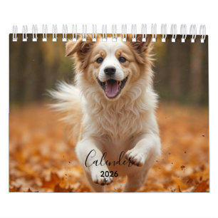 Modern Personal Dog Photo Calender 2026 Calendar