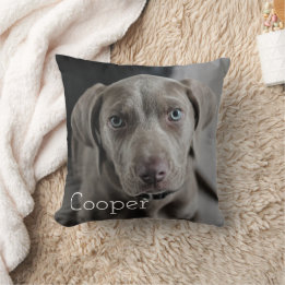 Modern Personalised Dog 2 Photo Cushion
