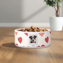 Modern Personalised Dog Valentine Pet Bowl