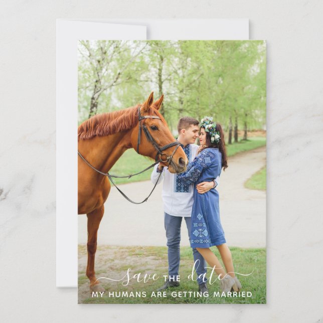 Modern Personalised Pet Photo Horse Wedding Save The Date (Front)