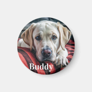 Modern Personalised Pet Photo Name Dog Lover Magnet
