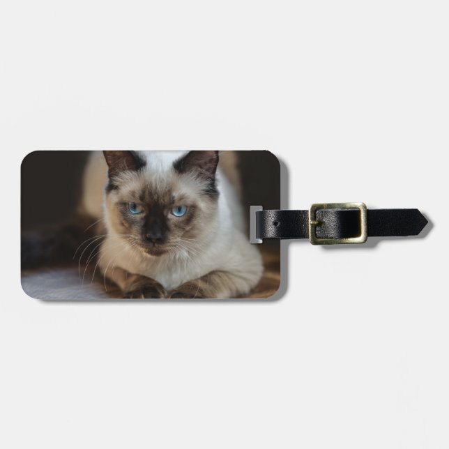 Modern Pet Cat Photo Luggage Tag (Front Horizontal)