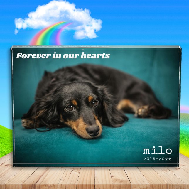 Modern Pet Memorial Custom Overlay Pet Photo Block (Creator Uploaded)