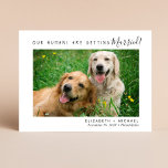 Modern Pet Photo Engagement Save The Date Announcement Postcard<br><div class="desc">Modern engagement and save the date announcement postcard featuring your pets' photo, "Our Humans Are Getting Married" in a mix of simple typography and a stylish script and your first names, wedding date and location on the front (you can customise to "My Humans" for one cat or dog). On the...</div>