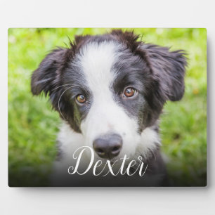 Modern Pet Photo Memorial Script Plaque