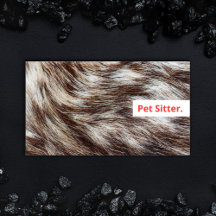 Modern Pet Sitter Business Cards Minimal Simple