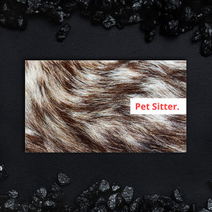 Modern Pet Sitter Dog Walker Grooming Veterinarian Business Card