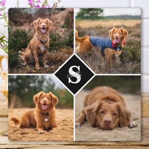 Modern Photo Collage Personalised Monogram Pet Dog Plaque