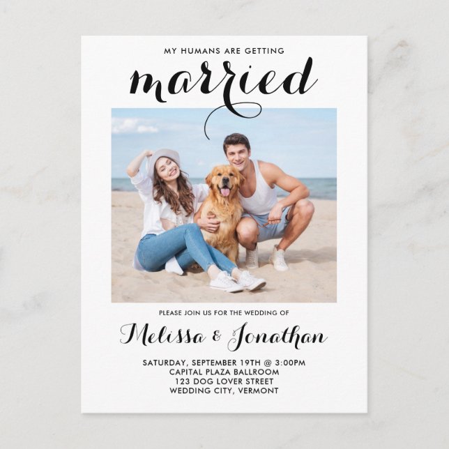 Modern Photo Custom Dog Pet Wedding Invitation Postcard (Front)