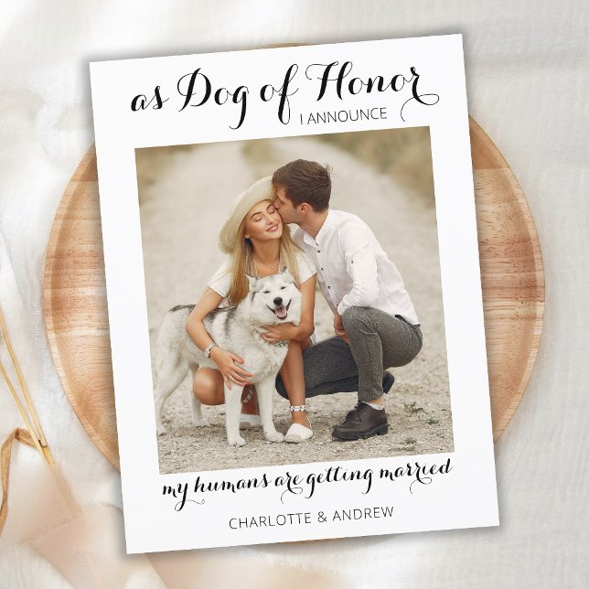 Modern Photo Dog Of Honour Pet Wedding Engagement Announcement Postcard (Creator Uploaded)