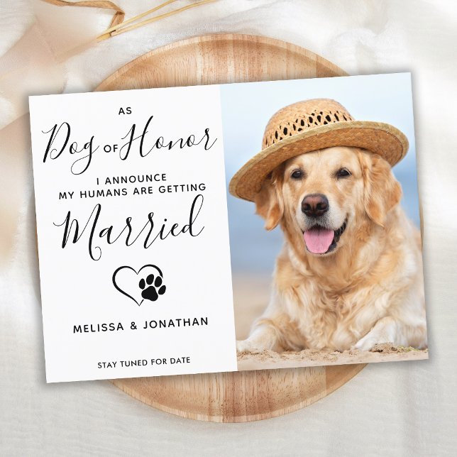 Modern Photo Dog Of Honour Pet Wedding Engagement  Announcement Postcard (Creator Uploaded)