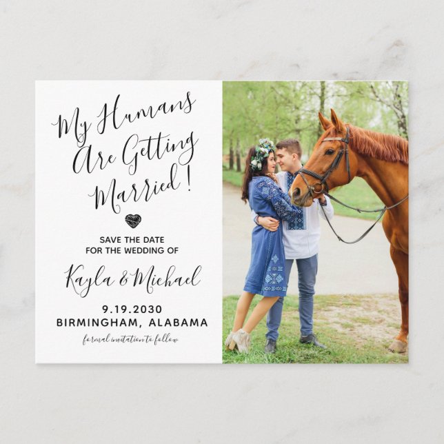 Modern Photo Horse Wedding Equine Save The Date Announcement Postcard (Front)